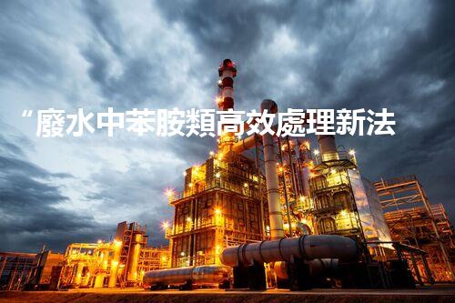 “廢水中苯胺類高效處理新法，環(huán)保先鋒引領(lǐng)綠色以后”